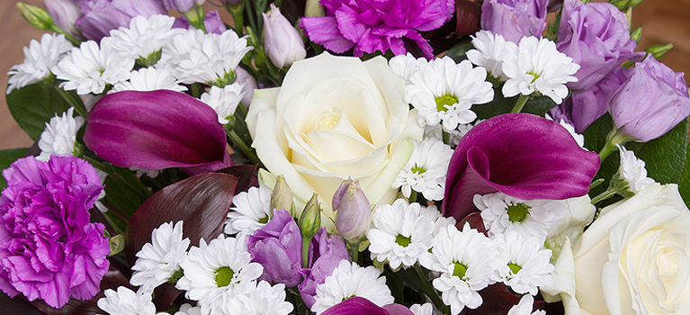 Save 10 on bouquets plants hampers and gifts at bunchescouk Save 10 on bouquets plants hampers and gifts at bunchescouk